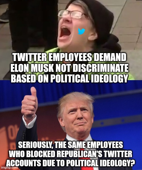 Musk is totally justified to lay off 75% of these hypocritical progressives working at Twitter. Do they think we forgot? | TWITTER EMPLOYEES DEMAND ELON MUSK NOT DISCRIMINATE BASED ON POLITICAL IDEOLOGY; SERIOUSLY, THE SAME EMPLOYEES WHO BLOCKED REPUBLICAN'S TWITTER ACCOUNTS DUE TO POLITICAL IDEOLOGY? | image tagged in screaming liberal,donald trump,twitter,liberal hypocrisy,insane,elon musk | made w/ Imgflip meme maker
