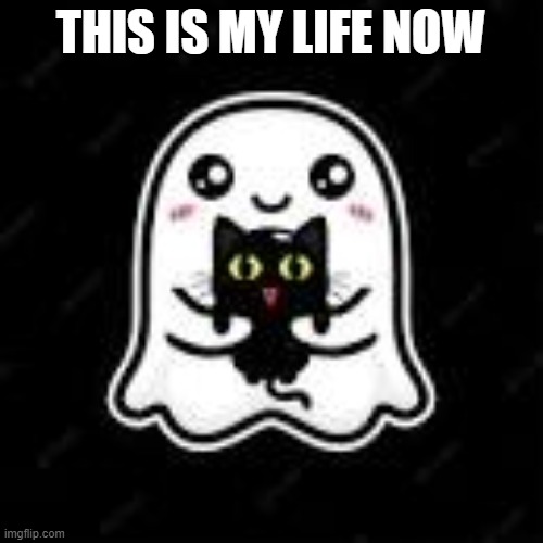 THIS IS MY LIFE NOW | made w/ Imgflip meme maker