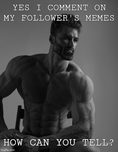 they're great tbh | YES I COMMENT ON MY FOLLOWER'S MEMES; HOW CAN YOU TELL? | image tagged in giga chad | made w/ Imgflip meme maker