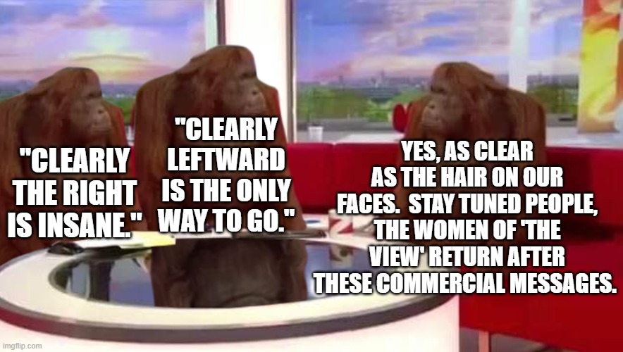 Like dynamiting fish in a barrel. | YES, AS CLEAR AS THE HAIR ON OUR FACES.  STAY TUNED PEOPLE, THE WOMEN OF 'THE VIEW' RETURN AFTER THESE COMMERCIAL MESSAGES. "CLEARLY LEFTWARD IS THE ONLY WAY TO GO."; "CLEARLY THE RIGHT IS INSANE." | image tagged in where monkey | made w/ Imgflip meme maker