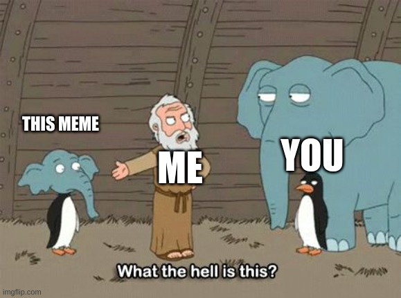 What the hell is this | ME YOU THIS MEME | image tagged in what the hell is this | made w/ Imgflip meme maker
