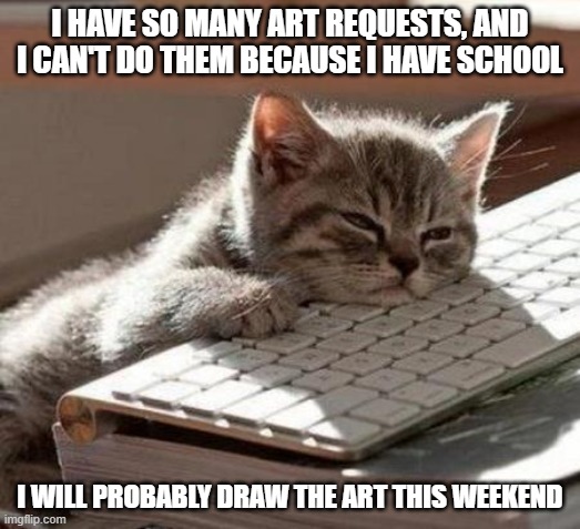 I'm just so tired (I gotta wake up at 6:40 am every day for school) | I HAVE SO MANY ART REQUESTS, AND I CAN'T DO THEM BECAUSE I HAVE SCHOOL; I WILL PROBABLY DRAW THE ART THIS WEEKEND | image tagged in tired cat | made w/ Imgflip meme maker