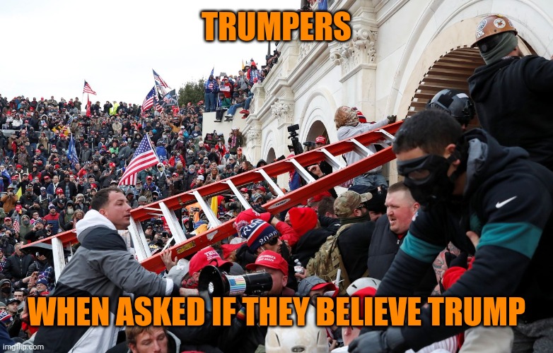Qanon - Insurrection - Trump riot - sedition | TRUMPERS WHEN ASKED IF THEY BELIEVE TRUMP | image tagged in qanon - insurrection - trump riot - sedition | made w/ Imgflip meme maker