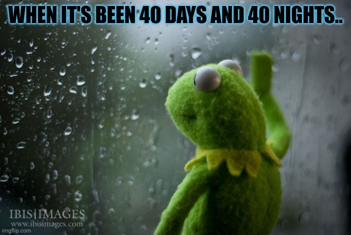 When it's been that long | WHEN IT'S BEEN 40 DAYS AND 40 NIGHTS.. | image tagged in kermit window | made w/ Imgflip meme maker