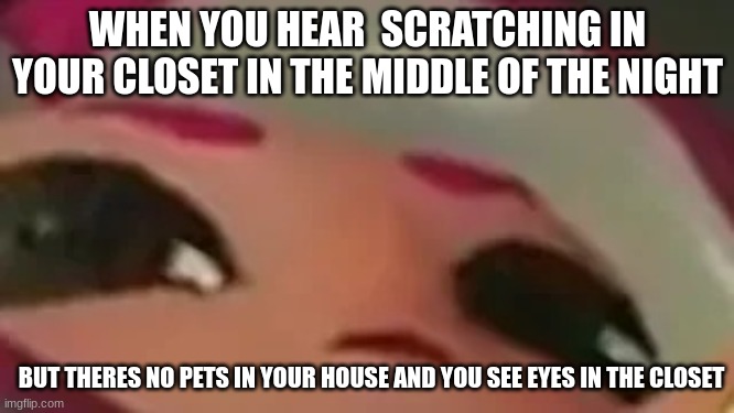 most normal night in ohio  ? | WHEN YOU HEAR  SCRATCHING IN YOUR CLOSET IN THE MIDDLE OF THE NIGHT; BUT THERES NO PETS IN YOUR HOUSE AND YOU SEE EYES IN THE CLOSET | image tagged in splatmeme | made w/ Imgflip meme maker