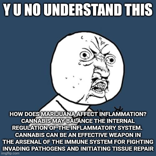 Stop Being Brainwashed | Y U NO UNDERSTAND THIS; HOW DOES MARIJUANA AFFECT INFLAMMATION?
CANNABIS MAY BALANCE THE INTERNAL REGULATION OF THE INFLAMMATORY SYSTEM.  CANNABIS CAN BE AN EFFECTIVE WEAPON IN THE ARSENAL OF THE IMMUNE SYSTEM FOR FIGHTING INVADING PATHOGENS AND INITIATING TISSUE REPAIR | image tagged in memes,y u no,just stop,just don't,stop it get some help,brainwashed | made w/ Imgflip meme maker