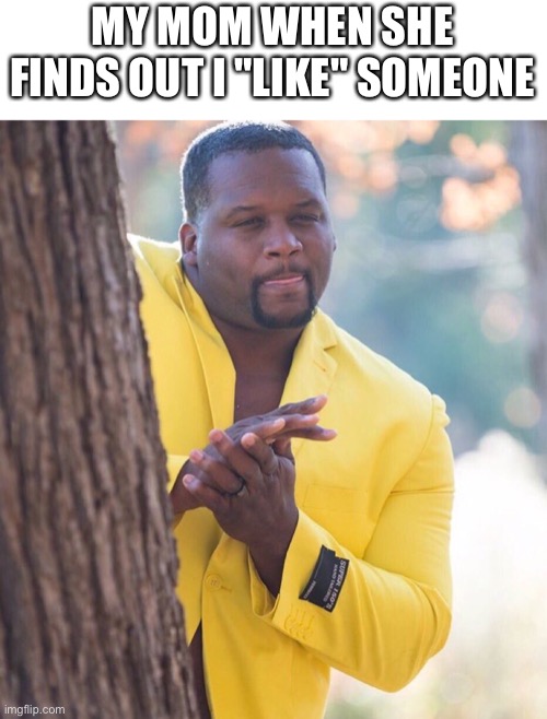 Black guy hiding behind tree | MY MOM WHEN SHE FINDS OUT I "LIKE" SOMEONE | image tagged in black guy hiding behind tree,memes | made w/ Imgflip meme maker