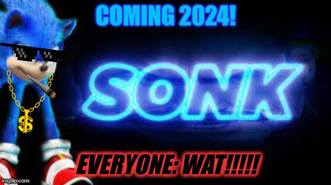 sonk | COMING 2024! EVERYONE: WAT!!!!! | image tagged in sonk | made w/ Imgflip meme maker