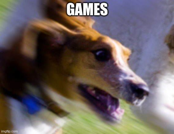 games | GAMES | image tagged in dog on the stuff,dog | made w/ Imgflip meme maker