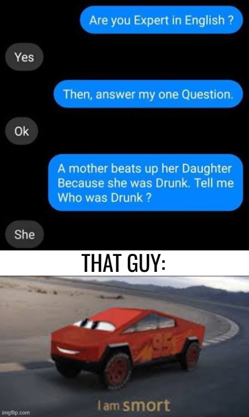 It is obvious that she did it |  THAT GUY: | image tagged in i am smort,infinity iq mario,funny,memes,texts | made w/ Imgflip meme maker