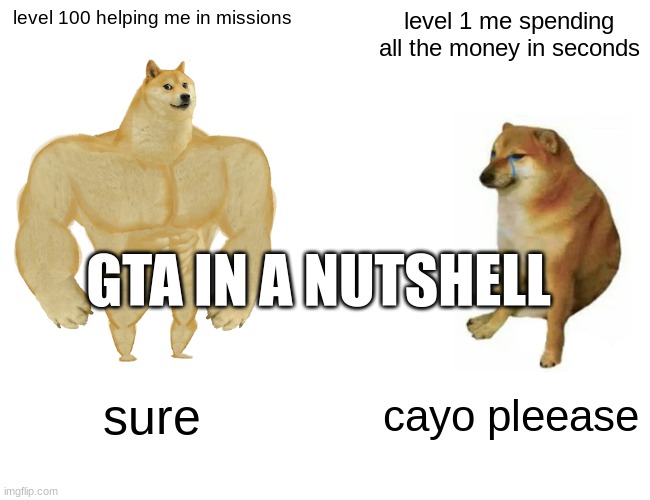 Buff Doge vs. Cheems Meme | level 100 helping me in missions; level 1 me spending all the money in seconds; GTA IN A NUTSHELL; sure; cayo pleease | image tagged in memes,buff doge vs cheems | made w/ Imgflip meme maker