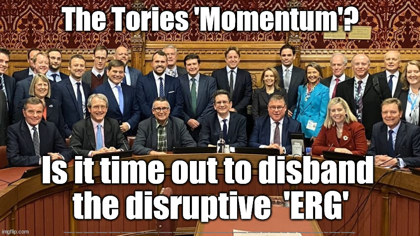 Tory ERG | The Tories 'Momentum'? Is it time out to disband 
the disruptive  'ERG'; #Starmerout #Labour #JonLansman #wearecorbyn #KeirStarmer #DianeAbbott #McDonnell #cultofcorbyn #labourisdead #Momentum #labourracism #socialistsunday #nevervotelabour #socialistanyday #Antisemitism #Savile #SavileGate #Paedo #Worboys #GroomingGangs #Paedophile #ERG #SteveBaker #StarmerResign | image tagged in european research group,steve baker,mark francois,liz truss,tory party,conservative party | made w/ Imgflip meme maker