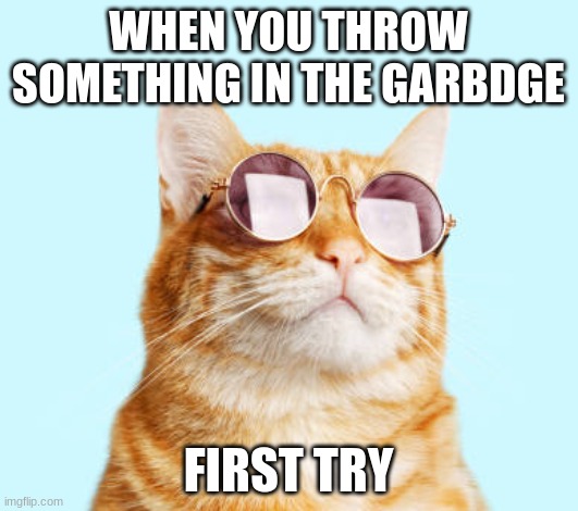 SHEESH | WHEN YOU THROW SOMETHING IN THE GARBDGE; FIRST TRY | image tagged in mlg,cats | made w/ Imgflip meme maker