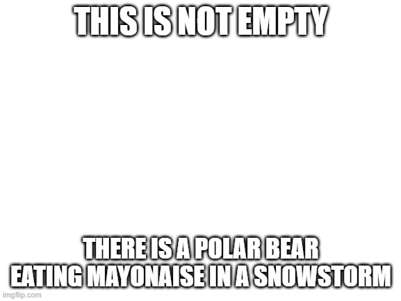 Blank White Template | THIS IS NOT EMPTY; THERE IS A POLAR BEAR EATING MAYONAISE IN A SNOWSTORM | image tagged in blank white template | made w/ Imgflip meme maker