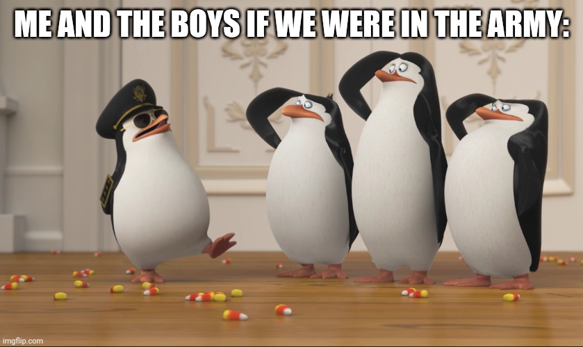 Saluting skipper | ME AND THE BOYS IF WE WERE IN THE ARMY: | image tagged in saluting skipper | made w/ Imgflip meme maker