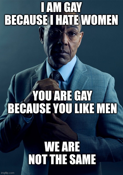 The Laws of... idk | I AM GAY BECAUSE I HATE WOMEN; YOU ARE GAY BECAUSE YOU LIKE MEN; WE ARE NOT THE SAME | image tagged in gus fring we are not the same | made w/ Imgflip meme maker