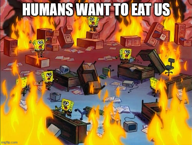 spongebob fire | HUMANS WANT TO EAT US | image tagged in spongebob fire | made w/ Imgflip meme maker