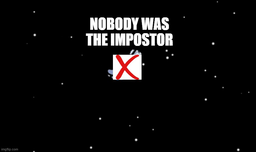 Among Us ejected | NOBODY WAS THE IMPOSTOR | image tagged in among us ejected | made w/ Imgflip meme maker