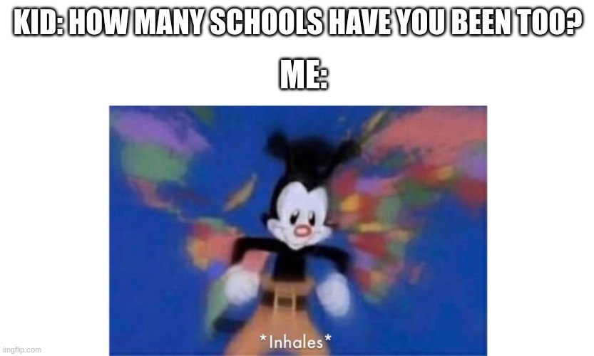 its true tho. | ME:; KID: HOW MANY SCHOOLS HAVE YOU BEEN TOO? | image tagged in yakko's world,school,school meme | made w/ Imgflip meme maker