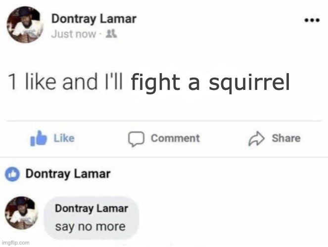 One like and I'll xyz |  fight a squirrel | image tagged in facebook likes,facebook,like | made w/ Imgflip meme maker