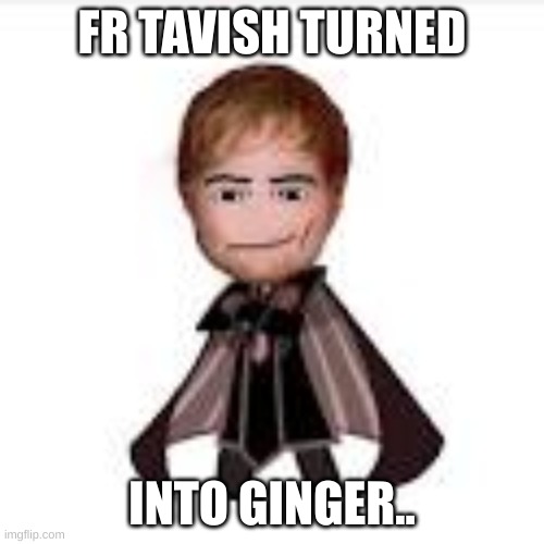 yes dont lie | FR TAVISH TURNED; INTO GINGER.. | image tagged in crk,ed sheeran,cookie run kingdom | made w/ Imgflip meme maker