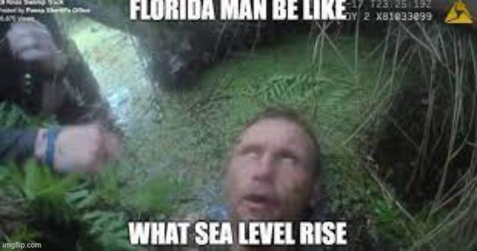 florida man | image tagged in funny | made w/ Imgflip meme maker
