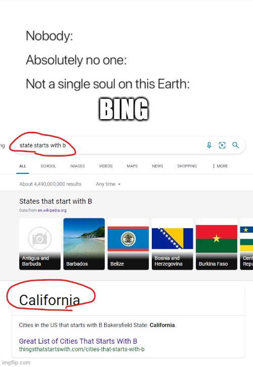 proof google is better | BING | image tagged in stop reading the tags,oh wow are you actually reading these tags,you have been eternally cursed for reading the tags | made w/ Imgflip meme maker