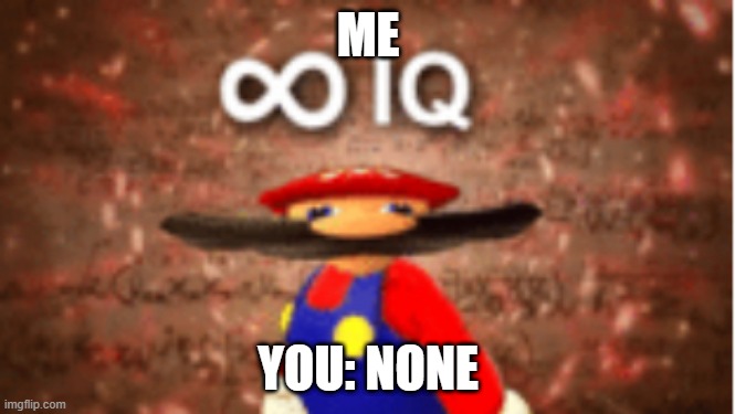 Infinite IQ | ME; YOU: NONE | image tagged in infinite iq | made w/ Imgflip meme maker