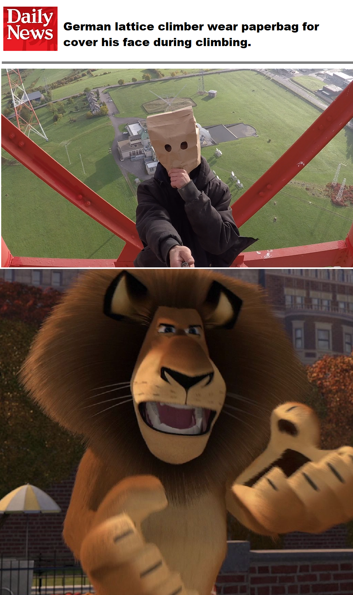 Alex the lion Blank Meme Template