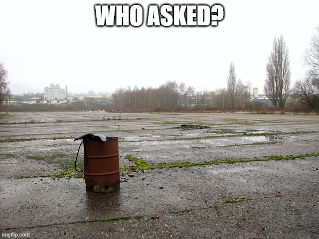 Everyone who asked | WHO ASKED? | image tagged in everyone who asked | made w/ Imgflip meme maker