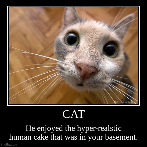cat | image tagged in funny,demotivationals,dark humor,cat | made w/ Imgflip demotivational maker