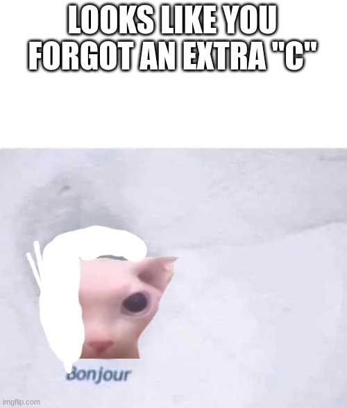 Bonjour | LOOKS LIKE YOU FORGOT AN EXTRA "C" | image tagged in bonjour | made w/ Imgflip meme maker
