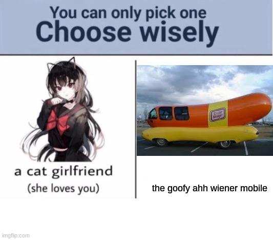 ah yes... | the goofy ahh wiener mobile | image tagged in choose wisely,memes | made w/ Imgflip meme maker
