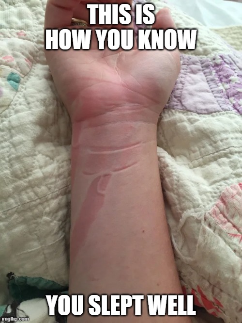 when you sleep well: | THIS IS HOW YOU KNOW; YOU SLEPT WELL | image tagged in sleep | made w/ Imgflip meme maker