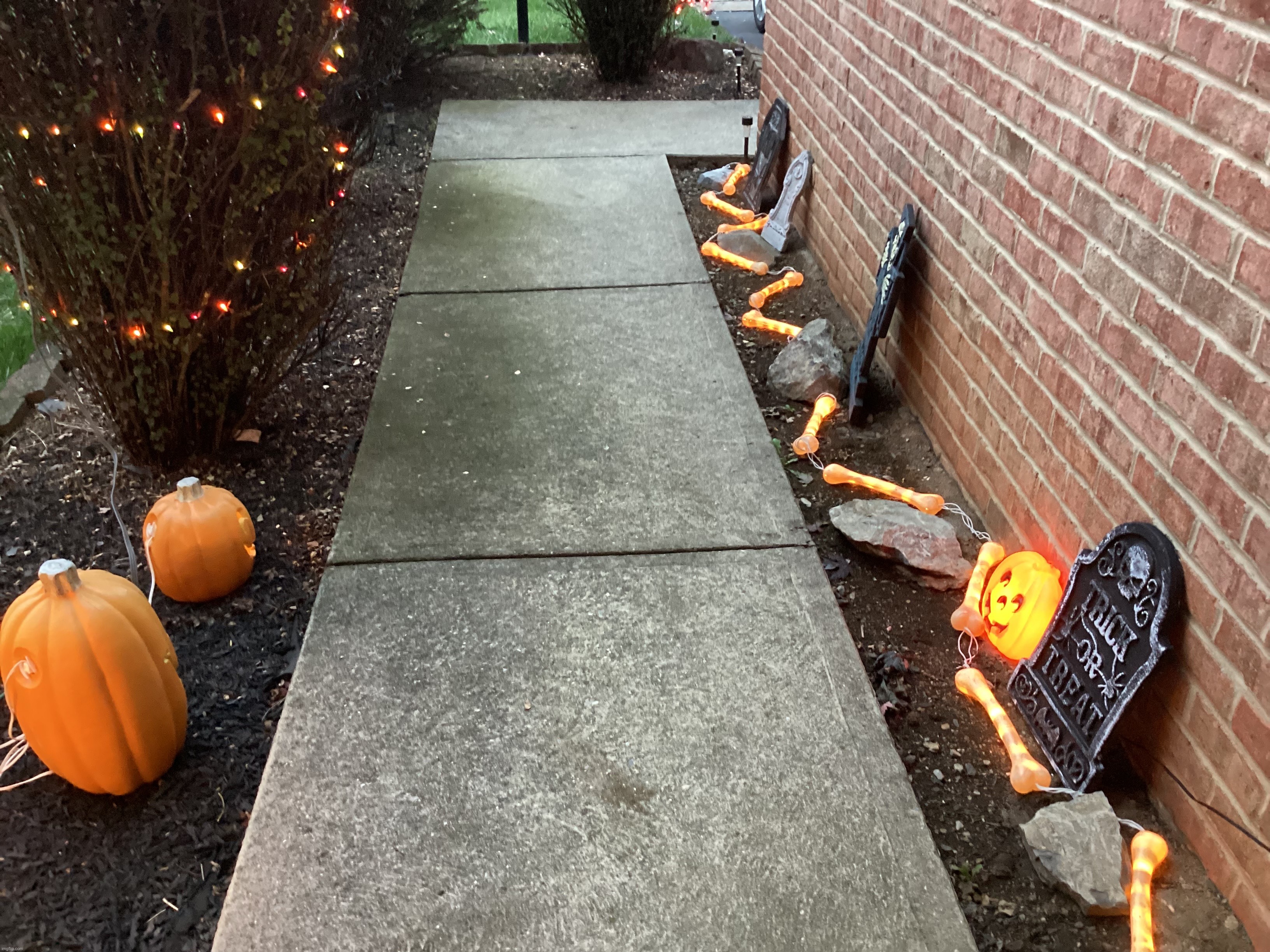 Lights I put up outside #2 | image tagged in share your own photos | made w/ Imgflip meme maker