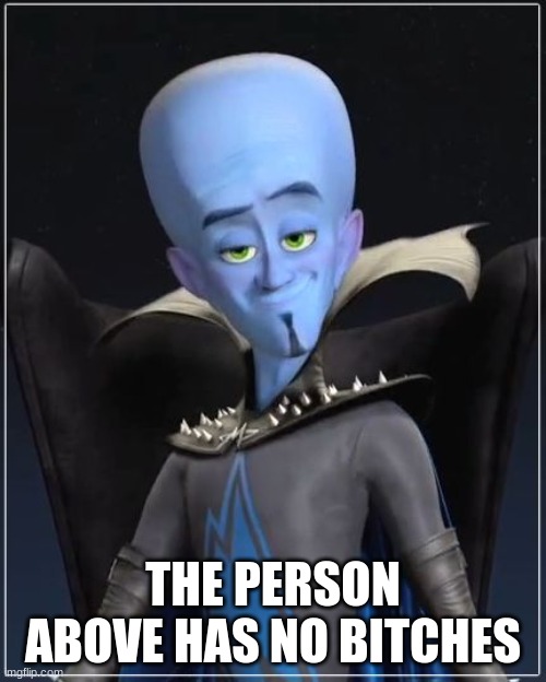 Megamind | THE PERSON ABOVE HAS NO BITCHES | image tagged in megamind | made w/ Imgflip meme maker