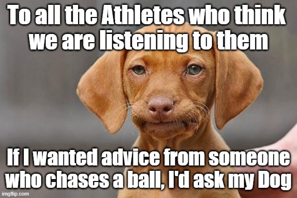 Chasing a ball | To all the Athletes who think 
we are listening to them; If I wanted advice from someone
who chases a ball, I'd ask my Dog | image tagged in dissapointed puppy | made w/ Imgflip meme maker