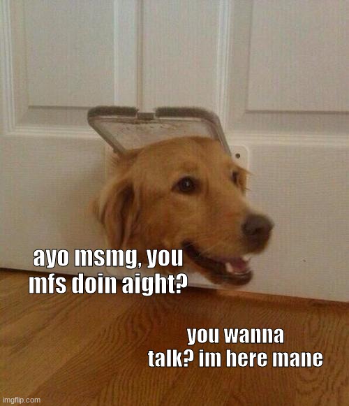 if you arent alright bro talk to me | ayo msmg, you mfs doin aight? you wanna talk? im here mane | image tagged in dog door | made w/ Imgflip meme maker