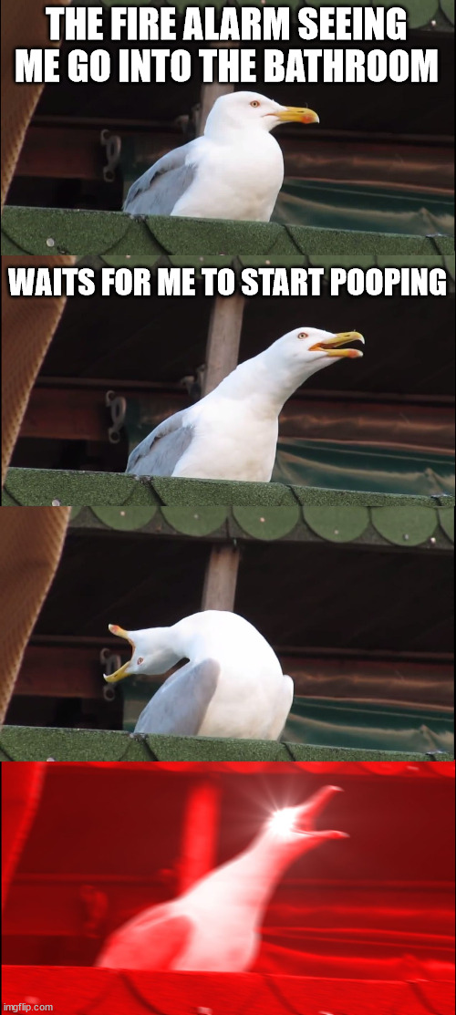 Fire alarm | THE FIRE ALARM SEEING ME GO INTO THE BATHROOM; WAITS FOR ME TO START POOPING | image tagged in memes,inhaling seagull | made w/ Imgflip meme maker