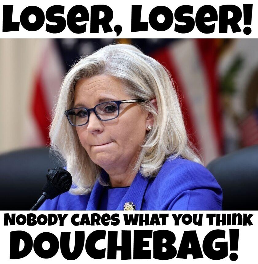 Loser, Loser! Nobody cares what you think DOUCHEBAG! | image tagged in liz cheney,douchebag,rino douchebag,douchebaggery | made w/ Imgflip meme maker