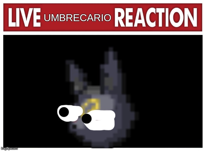 ... | UMBRECARIO | image tagged in live reaction | made w/ Imgflip meme maker