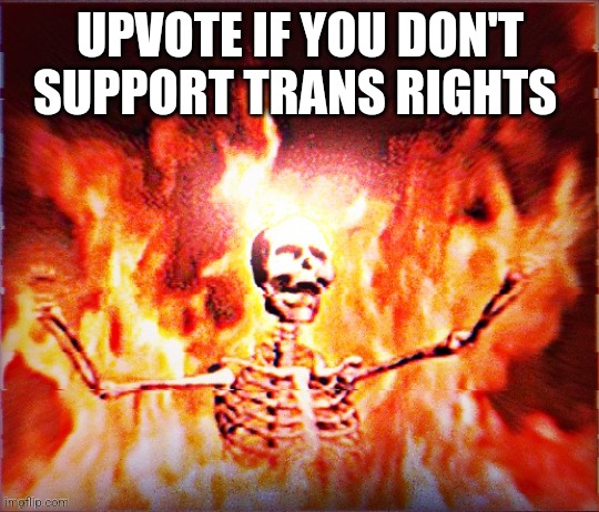 Aesthetic Skeleton burning in hell by Pochita_ | UPVOTE IF YOU DON'T SUPPORT TRANS RIGHTS | image tagged in aesthetic skeleton burning in hell by pochita_ | made w/ Imgflip meme maker