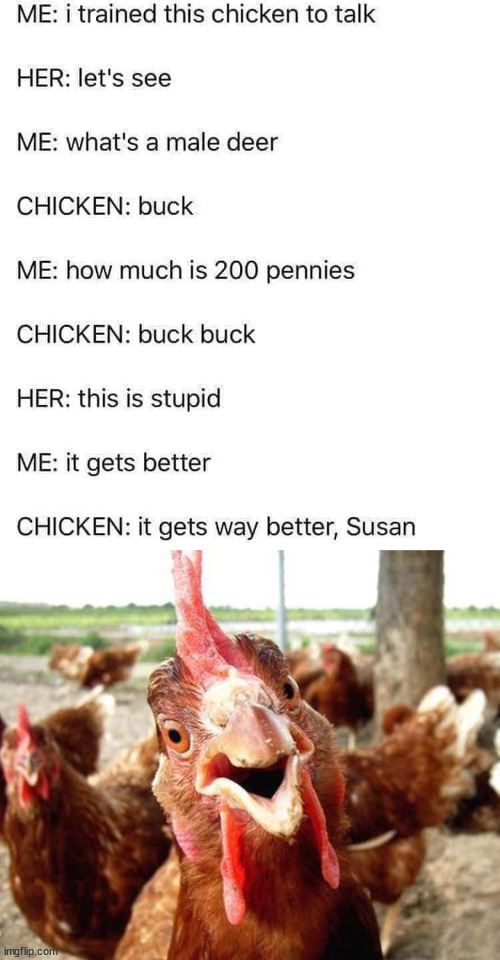 image tagged in chicken,eye roll | made w/ Imgflip meme maker