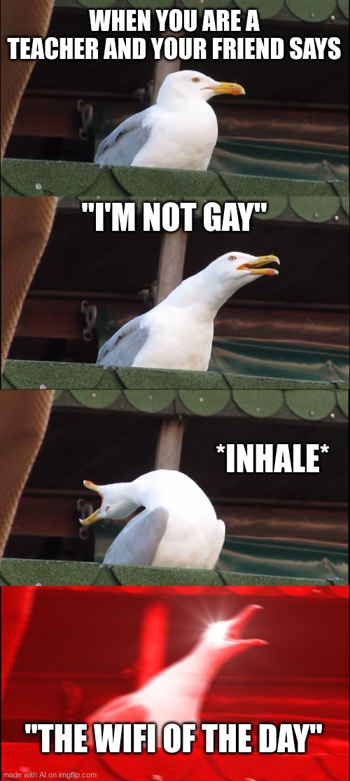 im not gay | WHEN YOU ARE A TEACHER AND YOUR FRIEND SAYS; "I'M NOT GAY"; *INHALE*; "THE WIFI OF THE DAY" | image tagged in memes,inhaling seagull | made w/ Imgflip meme maker