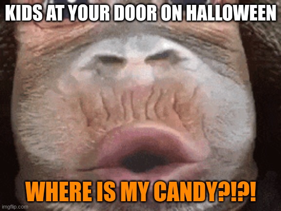 KIDS AT YOUR DOOR ON HALLOWEEN; WHERE IS MY CANDY?!?! | image tagged in monkeh,trick or treat | made w/ Imgflip meme maker