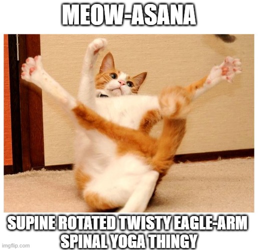 Yoga Cat | MEOW-ASANA; SUPINE ROTATED TWISTY EAGLE-ARM 
SPINAL YOGA THINGY | image tagged in cat,yoga,cats,yogi,twist | made w/ Imgflip meme maker