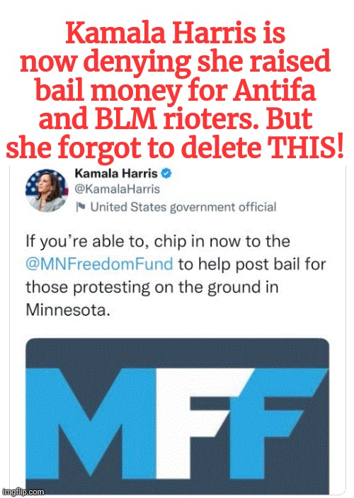 Kamala the Liar and Hypocrite | Kamala Harris is now denying she raised bail money for Antifa and BLM rioters. But she forgot to delete THIS! | image tagged in camel toe,kamala harris,hyena,liar,hypocrite | made w/ Imgflip meme maker