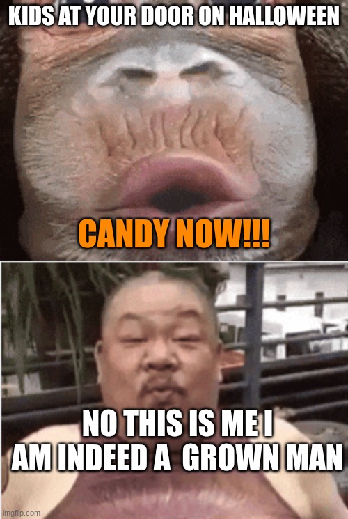 Monkey at your door | KIDS AT YOUR DOOR ON HALLOWEEN; CANDY NOW!!! NO THIS IS ME I AM INDEED A  GROWN MAN | image tagged in candy | made w/ Imgflip meme maker