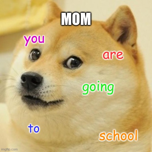 Moms when you wake up | MOM; you; are; going; to; school | image tagged in memes,doge,mom,school,sleep,dog | made w/ Imgflip meme maker