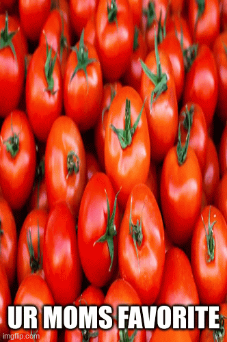 tomatoes | UR MOMS FAVORITE | image tagged in gifs,fruit,funny | made w/ Imgflip images-to-gif maker